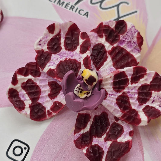Orquídeas manchadas
