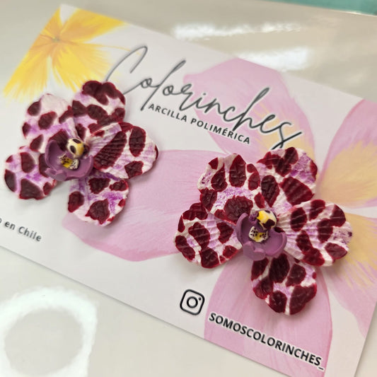 Orquídeas manchadas