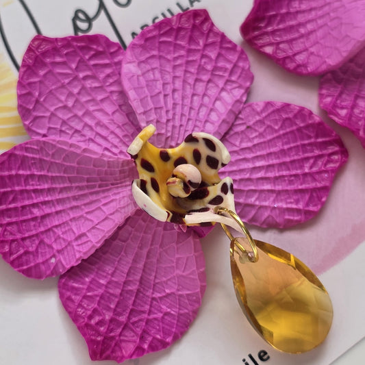 Orquídeas Alegría - L