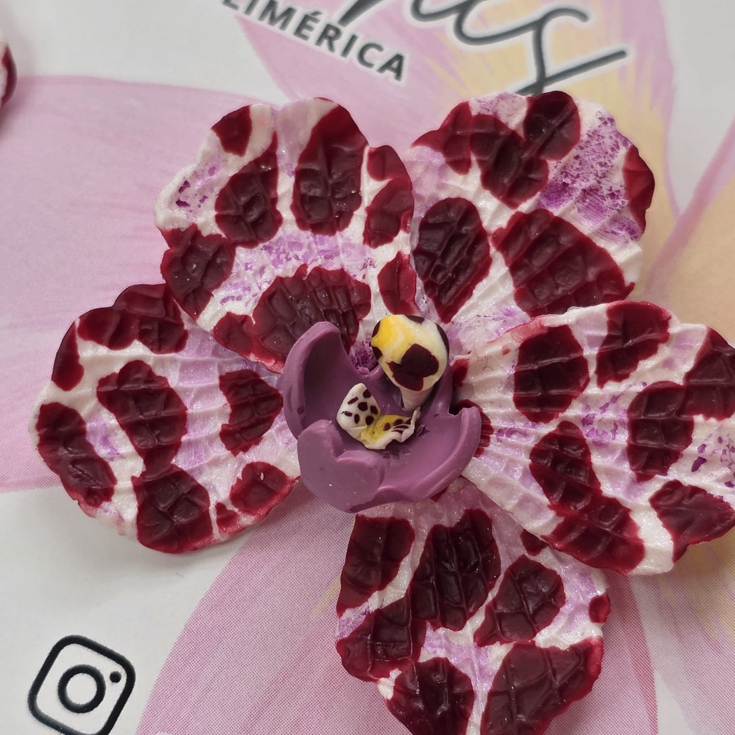 Orquídeas manchadas