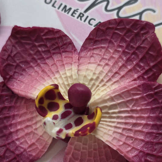 Orquidea degradé burdeo& vainilla